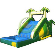 gaint inflatable slide